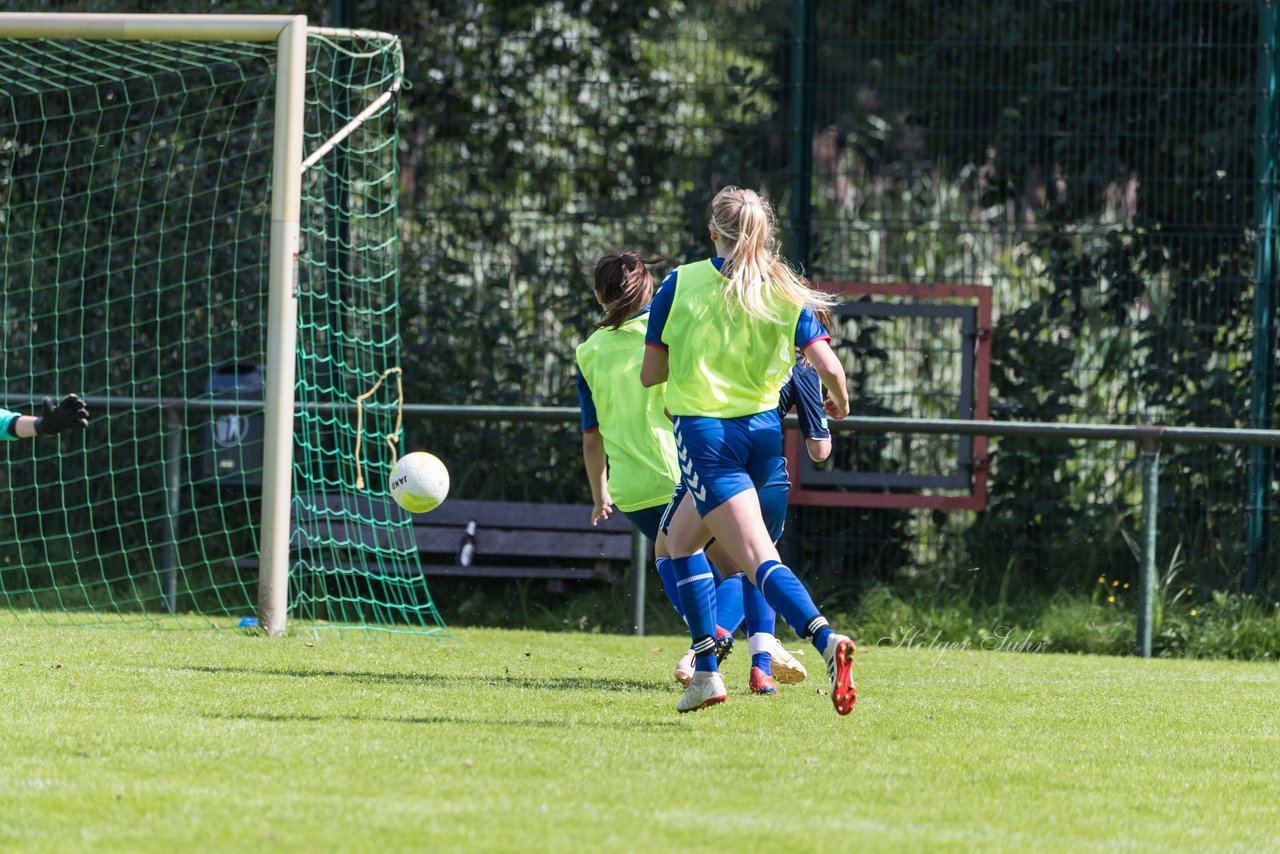 Bild 305 - B-Juniorinnen VfL Pinneberg - HSV : Ergebnis: 1:4